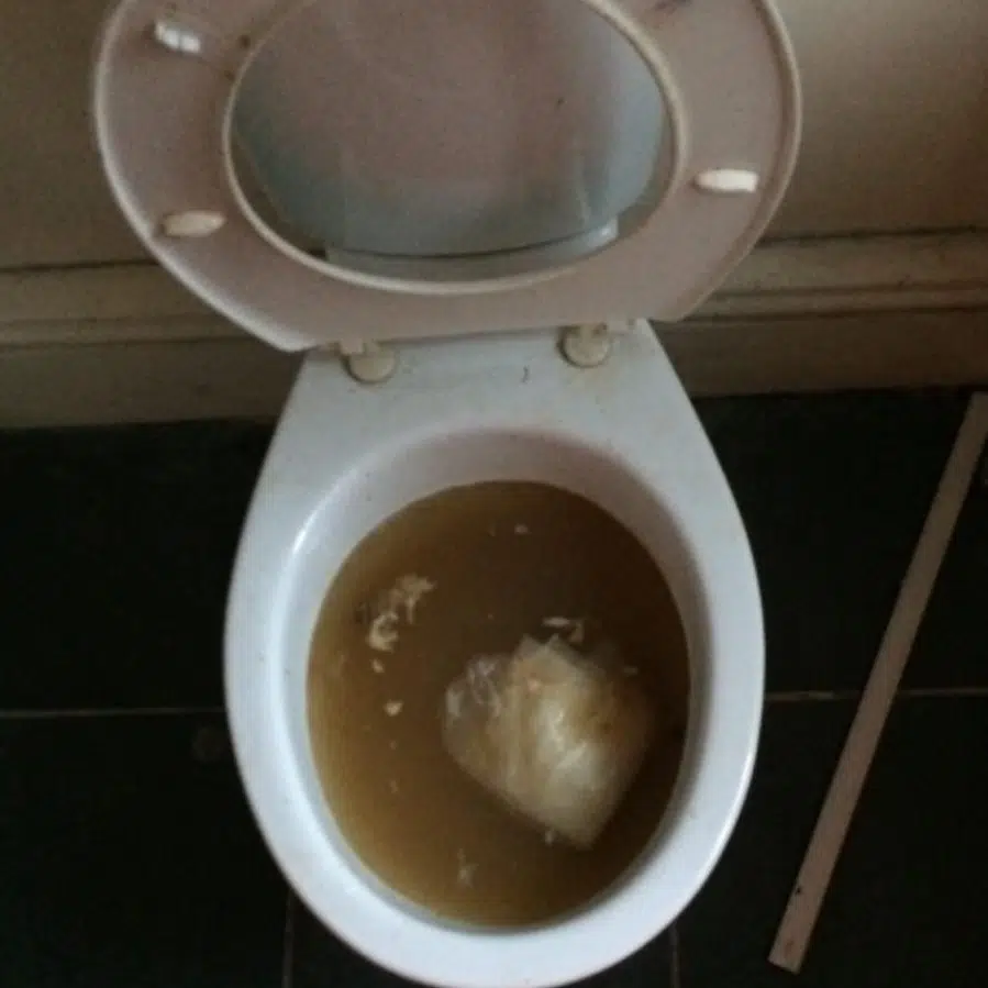 blocked toilet repair service in auckland - regency plumbing will help you